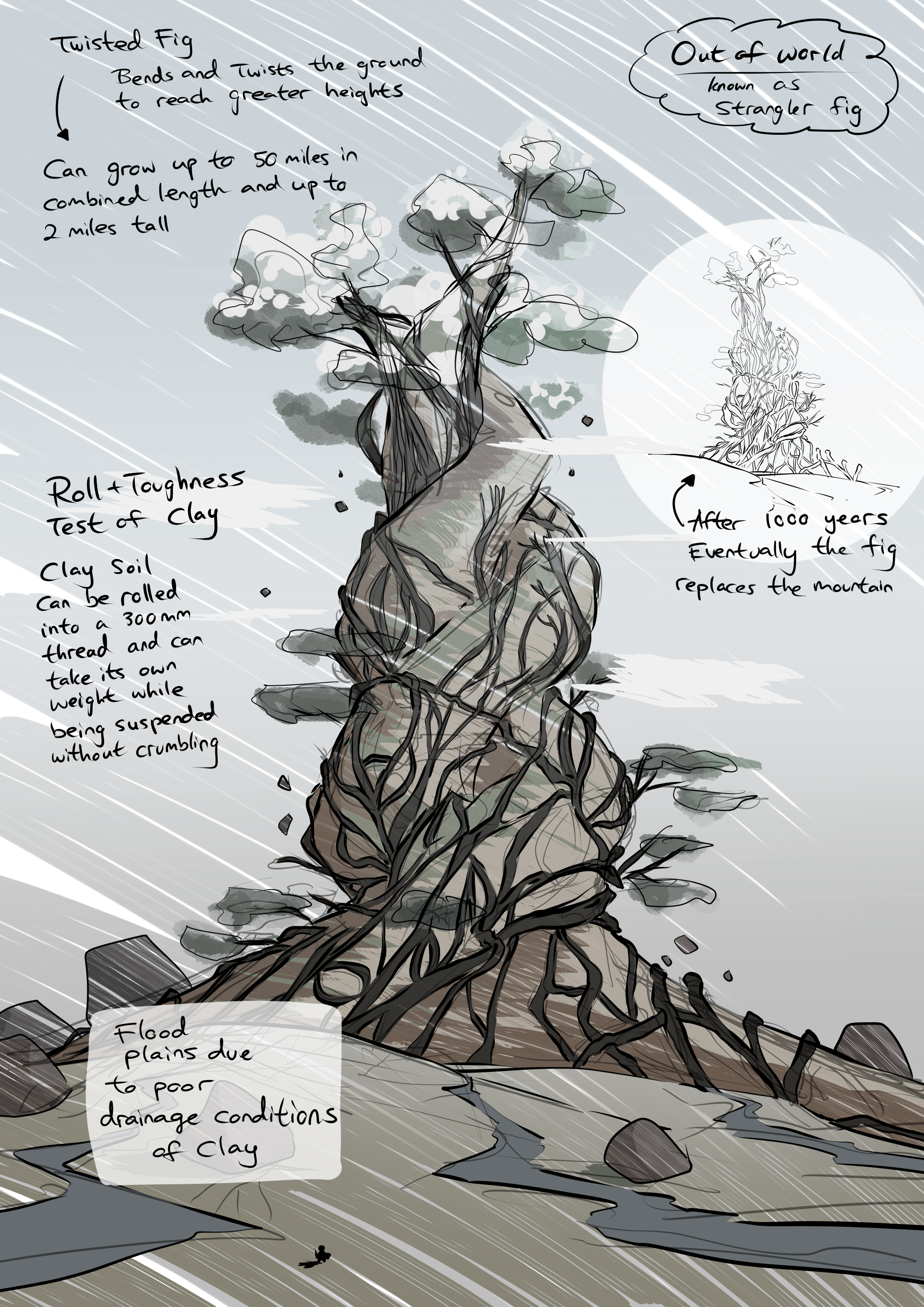 Strangler Fig in a Fantasy World